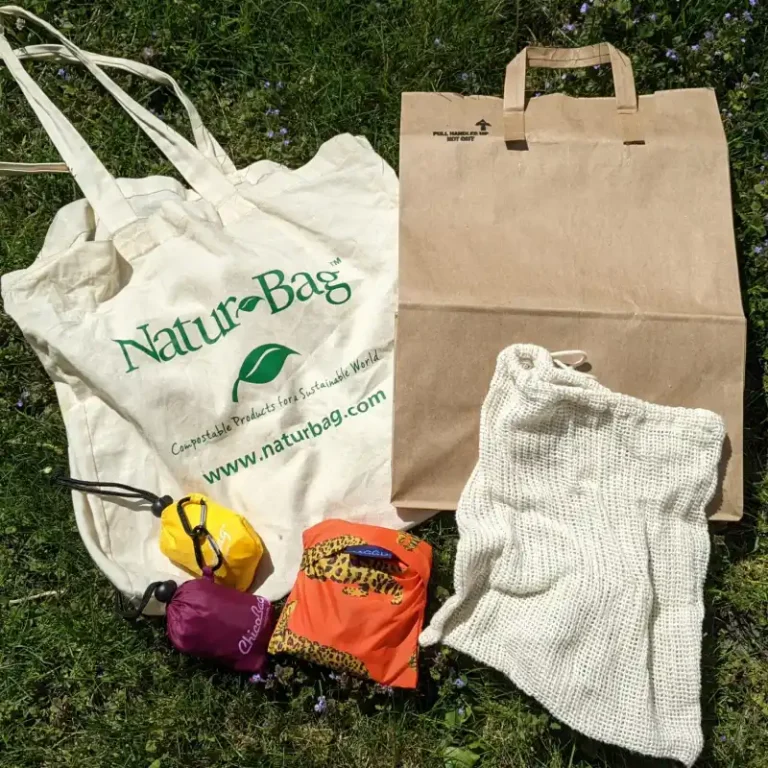 reusable bag-1